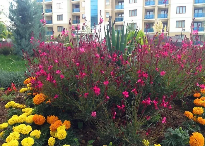 Grand Ozgul Thermal Village