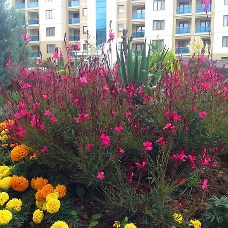 Grand Ozgul Thermal Village