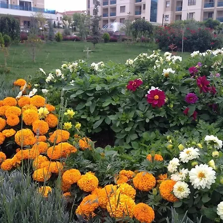 Resort Grand Ozgul Thermal Village Gazligol