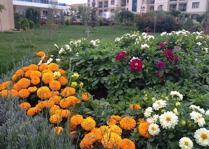 Resort Grand Ozgul Thermal Village Gazlıgöl